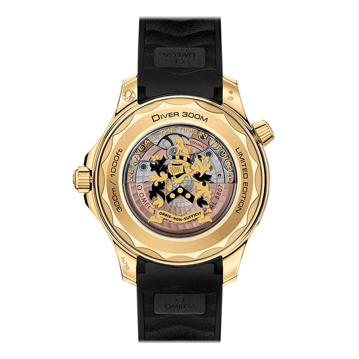 DIVER 300M CO?AXIAL MASTER CHRONOMETER 42 MM - 图片 4