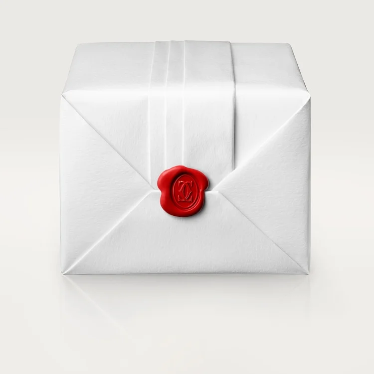 BALLON BLEU DE CARTIER WATCH-W2BB0034 - 图片 10